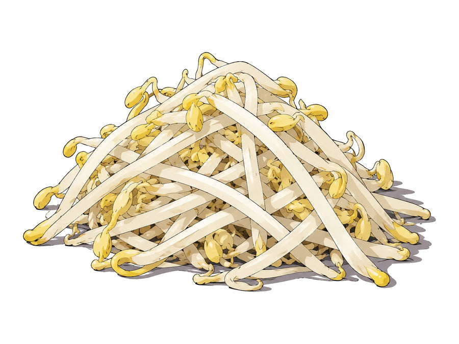 Bean Sprouts